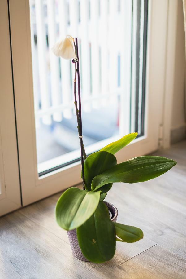 "Sunbow Earth"- Boutique New Apt In Dowtown Athens Ngoại thất bức ảnh
